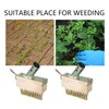 RmKbe 2pcs Weeding Wire Brush Tools Joint Cleaning Steel Brush