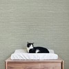 JiffDiff Grasscloth Wallpaper Peel and Stick Cream Grassweave Stick on