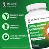Dr. Berg Glucosamine Chondroitin MSM Turmeric & Boswellia - Advanced