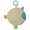 Mary Meyer Baby Einstein First Discoveries Squeezer Teether, 18 cm,