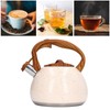 Whistling Tea Kettle 3L Large Capacity Home Stainless Steel Whistle