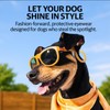 King Sunglasses for Medium-Sized Dog - UV Protective Lenses, Debris