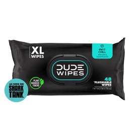 DUDE Wipes - Flushable Wipes - 1 Pack, 48 Count - Mint Chill - Vitamin-E, Aloe, Eucalyptus & Tea Tree Oils - Septic and Sewer Safe