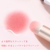 ADOFUN Lip Brush, Set of 2, Lipstick Brush, Concealer Brush