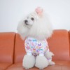 CuteBone Small Dogs Outfit Soft Puppy Onesies Pjs Dog Easter