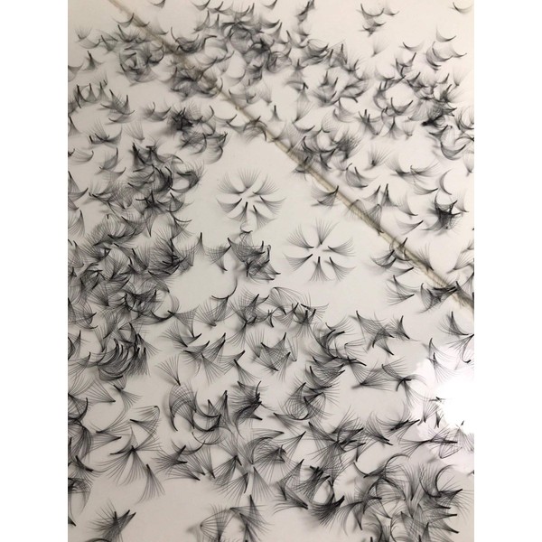LASH BY HOLLY 8D pre-made (hand made) fan lashes (500 fans/tray) for eyelash extension, C curl, D curl and M curl, 0.07 thickness, length from 9 mm - 15 mm (D14 mm 8D)