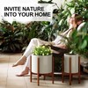 MUDEELA 2 Pack Indoor Plant Stands, 2 Tier Tall Plant