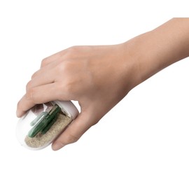QUALY cruet Salt & Pepper Shakers Winter and Summer 9005200 (Japan import / The package and the manual are written in Japanese)