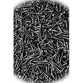 New Pack of (1000) Square Drive Pan Head 6 x 1-1/2 Fine Face Framing Type 17 Wood Screws Multi-Purpose Comprehensive Hardware Fastener Assortment Kit MoPNEM01860