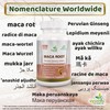 Maca Root Extract Capsule