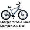 coming data power supply battery Charger for Soul Fast E