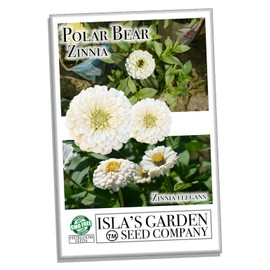 Polar Bear White Zinnia Seeds for Planting, 100+ Flower Seeds Per Packet, (Isla's Garden Seeds), Non GMO & Heirloom Seeds, Botanical Name: Zinnia elegans, Great Home Garden Gift