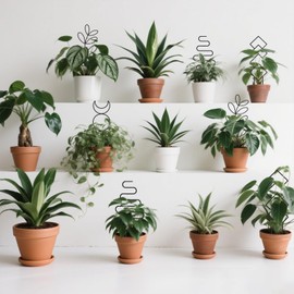 Coomin Small Plant Trellis for Climbing Plants Indoor, 15in Metal House Plant Trellis for Potted Plants, Mini Plant Support for Hoya Pothos, Black