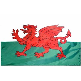 Wales - 5' x 8' Nylon World Flag