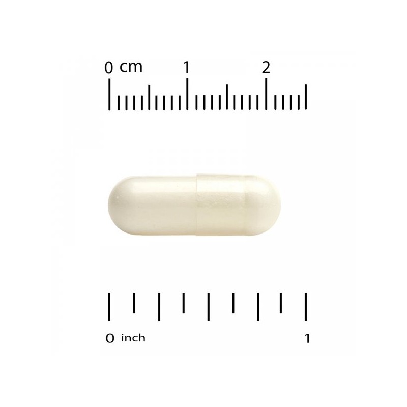 메틸엽산 800mcg 베지 캡슐 120정 Methyl Folate 800mcg Veggie Capsules
