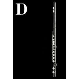 D: Flute Woodwind Instrument Themed Monogram Letter "D" Initial Notebook / Journal / Diary with Blank Lined Pages for Writing Notes | Unique ... Band Members, Music Artists, and Musicians