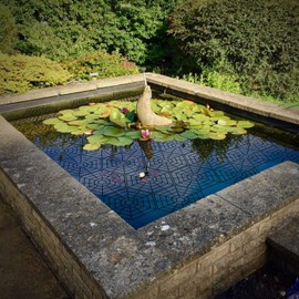 Parkland® Pack Of 20 Interlocking Connectable Plastic Pond Guard Net Protector Floating Heron Deterrent Protection Guards