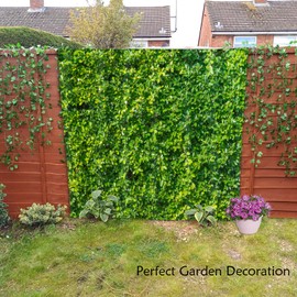 Green Leaf Wall in the Sun Shower Curtain, Outdoor Garden Waterproof Farmhouse Bath Curtain, Summer Nature Scenery Garden Bathroom Decoration, Bath Shower Curtain with 12 Hooks, 180x180cm