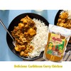 Aptie's Curry Blend | All In One Trinidad Curry Powder