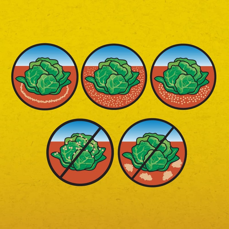 Corry's Slug and Snail Killer 1.75 Pound Box