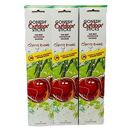 Gonesh Outdoor Sticks: Cherry Bomb 12 Pack (20 Sticks/Pack)
