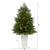 Nearly Natural 3.5ft. Washington Fir Artificial Christmas Tree with 50