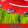 MTR Saw Chain Tooth Brush Cutter Blades Circular Blade Weed