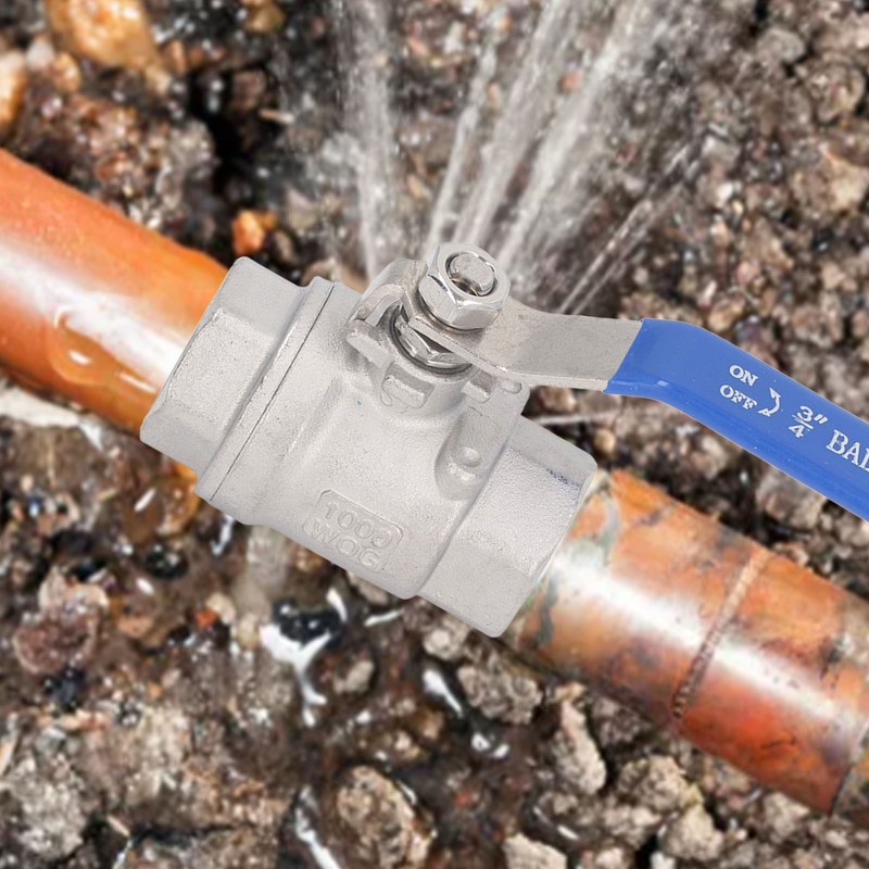 Full Port Ball Valve Stainless Steel Female Thread 3/4in 1000
