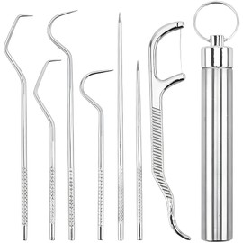 SHSHbuy 304 Stainless Steel Toothpick Set, 7 Pieces Stainless Steel Toothpick, Reusable Stainless Steel Titanium Toothpick, Fruit Fork with Holder for Outdoor Picnic Camping Outdoor