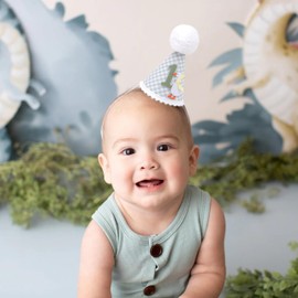Agkvw One Funny Goose 1st Birthday Hat for Boys - Green Gingham Party Hat, Goose First Birthday Decorations