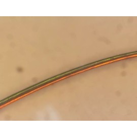 MWS 10ft. MWS Bifilar Magnet Wire, 2-conductor, 39AWG, Insulated Copper Wire