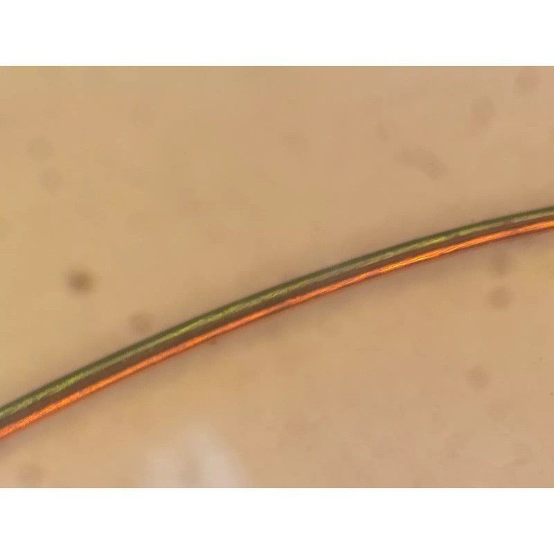 MWS 10ft. MWS Bifilar Magnet Wire, 2-conductor, 39AWG, Insulated Copper