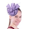 Biruil Fascinators Hat for Women Girls Sinamay Flower Feathers Tea