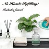 SheeChung Clear Glass Soap Dispenser, 12 Oz Liquid Hand Soap