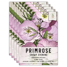 Seed Needs, Showy Evening Primrose Seeds - 6,000 Seeds for Planting Oenothera speciosa - Perennial Pink Blooms to Attract Butterflies/Pollinators (5 Packs)