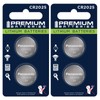 Premium Panasonic CR2025 Lithium 3V Coin Cell - Japanese Engineered