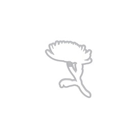 DI506 Hero Florals Mum Stem Frame Cuts (B)