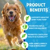 Joint Aid & Relief for Dogs, Dog Joint Aid Liquid