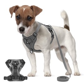 Dog Harness for No Medium and Large Dogs, Breathable Dog Chest Harness with 1.5 m Lead, Soft Pet Harness, Vest, Reflective, Puppy Harness, Adjustable for Training, Walking (S)