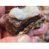 1/4 lb Deer Creek Fire Agate Choice To Mid Grade