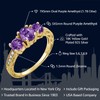 Gem Stone King 18K Yellow Gold Plated Silver Purple Amethyst