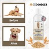 We Love Doodles- Champú de Avena Premium 5 en 1
