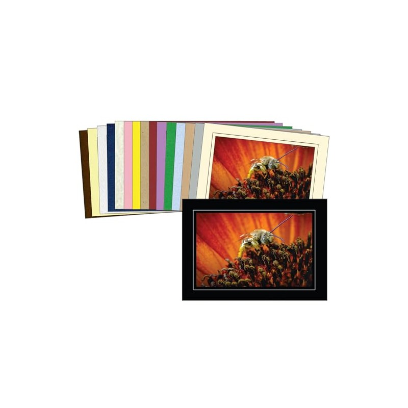 Photographer's Edge, Photo Insert Card Sample Pack, 16 Colored Cards,