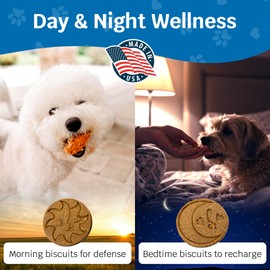 Shmush! Morning & Night Healthy Dog Biscuits – 100% All Natural Dog Treats Superfood with Blueberries, Colostrum & Moringa - Vet Formulated, Non-GMO, USA Made, Grain Free Cookies for Dogs (Box)