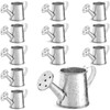 Juvale Mini Watering Can - 3 x 1.6 in, Silver,