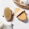 Set Cepillo Corporal Facial Y Esponja Pulpa De Madera Exfo