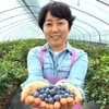 Blueberry light immune food 1 piece, 1 tablet / 블루베리 담백한 면역 식품 1개 1개, 1정