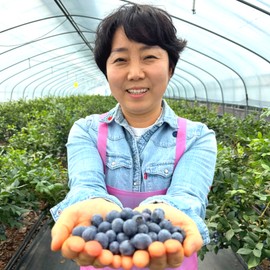 Blueberry light immune food 1 piece, 1 tablet / 블루베리 담백한 면역 식품 1개 1개, 1정
