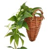 Kijapan 163701 Clematis Wall Hanging (W x D x H):