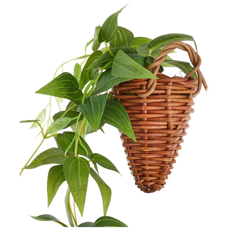 Kijapan 163701 Clematis Wall Hanging (W x D x H):
